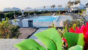 - une vue sur la piscine bordée de parasols et de fleurs dans l'établissement Mare Nostrum Santo, à Oia