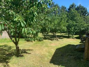 Zahrada ubytování Naturnära gård i Tyfta