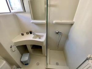 a small bathroom with a sink and a shower at Pelagias Apartments in Agia Effimia