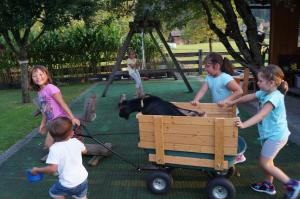 un grupo de niños jugando con un caballo en un carro de madera en Bauernhof Katin, en Tröpolach