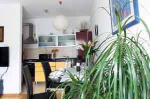 TV a/nebo společenská místnost v ubytování Apartman Dada