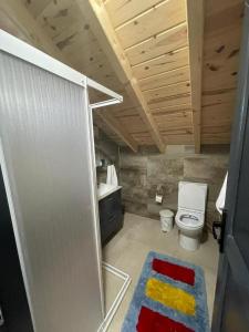 a bathroom with a toilet and a sink at Tepe dağ evleri in Çamlıhemşin