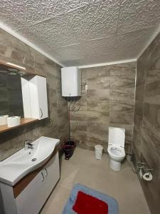 a bathroom with a sink and a toilet and a mirror at Tepe dağ evleri in Çamlıhemşin