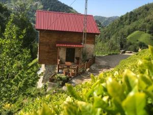 a small house with a red roof on a hill at Tepe dağ evleri in Çamlıhemşin