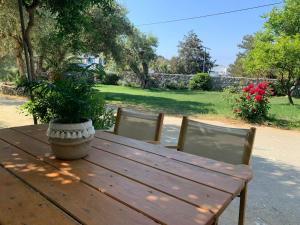 a wooden table with a potted plant and two chairs at Kassiani Studios in Plakias