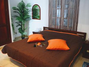 ein Schlafzimmer mit einem Bett mit zwei orangefarbenen Kissen in der Unterkunft Studio Paraiso in Playa Blanca