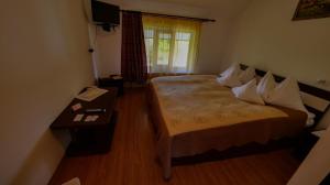 um quarto de hotel com uma cama e uma mesa em Pensiunea Casa Ghica em Valea Sălciilor