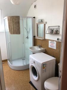 uma casa de banho com um chuveiro e uma máquina de lavar roupa em Gîte de la Nièvre - Centre Ville-2e étage em Flixecourt