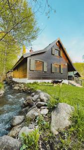a house with a river in front of it at Karak Chalet in Izvoare