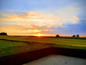 a sunset over a field with a body of water at Rodos in Jaczów