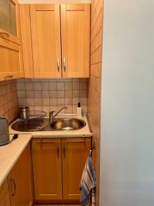 a kitchen with wooden cabinets and a sink at Apartament Giulia in Krynica Morska