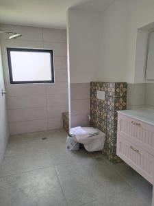 a bathroom with a toilet and a window at הבית של סבתא סבתא לילי ליד הנחל in Beit Hillel