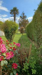 un jardín con flores rosas y un seto en La Bretagne ça vous gagne, en Ploufragan