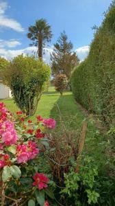 a garden with pink flowers and a hedge at La Bretagne ça vous gagne in Ploufragan