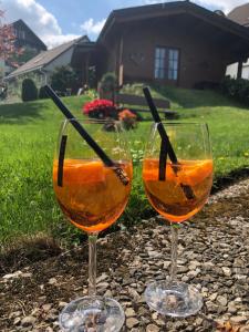 ブラウンラーゲにあるHaus Annetteの庭のオレンジ液ワイングラス2杯