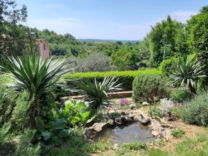 a garden with palm trees and a pond at Apartment Tina Istra in Buje