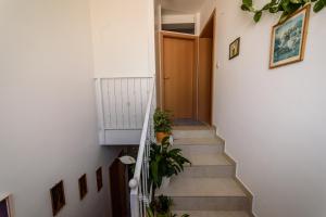 Fotografia z galérie ubytovania Šoda v destinácii Zadar