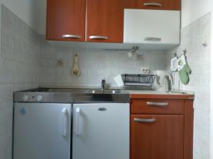 A kitchen or kitchenette at Apartments Renko