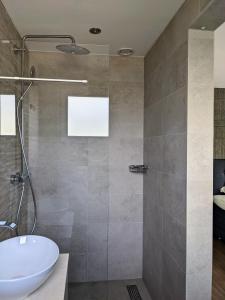 ein Bad mit einer Dusche, einem Waschbecken und einer Badewanne in der Unterkunft Bed&Bubbels 256 in De Koog