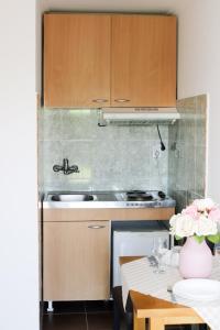 Foto dalla galleria di Charming studio Maša a Palić