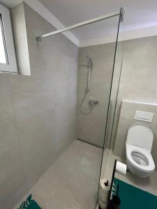 a bathroom with a shower and a toilet at Apartmán Pálavská Brána in Brod nad Dyjí