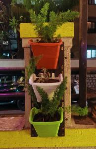Сад в Procida Hostel by Vibe Village