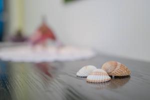 Fotografia z galérie ubytovania Apartment Kirby v destinácii Krk