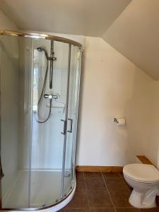 a bathroom with a shower and a toilet at Holmview apartment in Stornoway