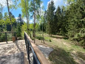 a wooden deck with a view of a forest at Zdalnie z Lasu - Siedlisko w Puszczy Białowieskiej in Narewka