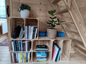 a book shelf with books and a potted plant at Zdalnie z Lasu - Siedlisko w Puszczy Białowieskiej in Narewka