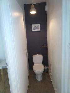 a bathroom with a toilet and a black wall at Résidence du Parc fleuri de Lyon Cœur Lyon8 PKG free 95m2 in Lyon +27 photos