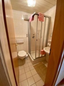 a bathroom with a shower and a toilet and a sink at Bäckerei & Pension Seegerer in Tännesberg