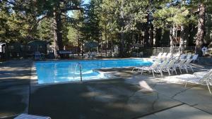 a swimming pool with white chairs and tables and trees at Summit Ski Resort 2BR-2BA, Mammoth Lakes in Mammoth Lakes