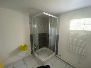 a bathroom with a shower and a bath tub at Gîte le verger in Soulignonne