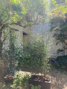 Κήπος έξω από το Studio chez l’habitant