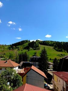 Příroda nedaleko apartmánu + 22 fotografií