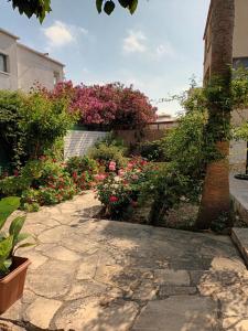 a garden with pink flowers and a brick wall at Ocean Blue Apartments in Paphos