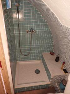 eine Duschkabine im Bad mit Waschbecken in der Unterkunft Studio atypique rue de Turin (ancienne étable de village) in Breil-sur-Roya