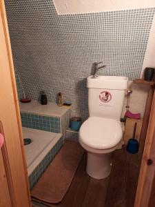 ein kleines Bad mit einem WC und einer Badewanne in der Unterkunft Studio atypique rue de Turin (ancienne étable de village) in Breil-sur-Roya