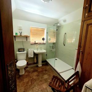 a bathroom with a toilet and a shower and a sink at The Old School B&B in Chichester +30 photos