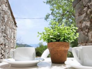 a table with a cup and a potted plant on it at Το Λαϊνάκι by Fox Tale Guest House in Fternón