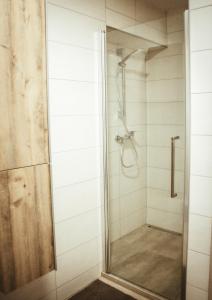 a shower with a glass door in a bathroom at Apartma Moser in Podnanos