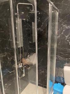 bagno con doccia in vetro e servizi igienici di luxury apartment 11' from Athens center ad Atene