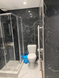 y baño con aseo y ducha. en luxury apartment 11' from Athens center, en Atenas