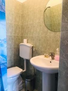 a bathroom with a sink and a toilet and a mirror at Flora's Guesthouse 'The Fir Gate' in Gjirokastër