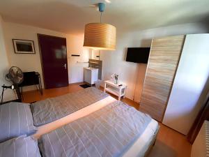 1 dormitorio con 1 cama grande y TV en Budgetapartment Imperia von Swisspartments, en Arbon