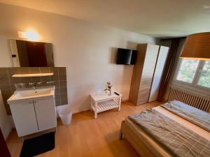 Dormitorio pequeño con cama y lavamanos en Budgetapartment Imperia von Swisspartments, en Arbon