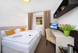 Televízia a/alebo spoločenská miestnosť v ubytovaní Hotel Hradec