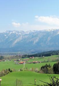 a green field with snow capped mountains in the background at Hölbinger Alm - Apartments in Anger