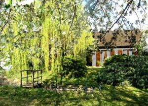 a house with a tree and a fence in the yard at Mélodie lumineuse et spacieuse à 6km du Pal in Dompierre-sur-Besbre